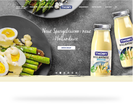 Screenshot of the Thomy.ch website