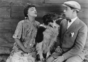 Der Mere Exposure Effect zeigt warum Kundenkontakt wichtig ist.