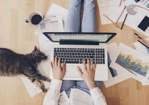 Person working on a laptop with cat lying by