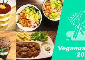 Vegan food dishes 